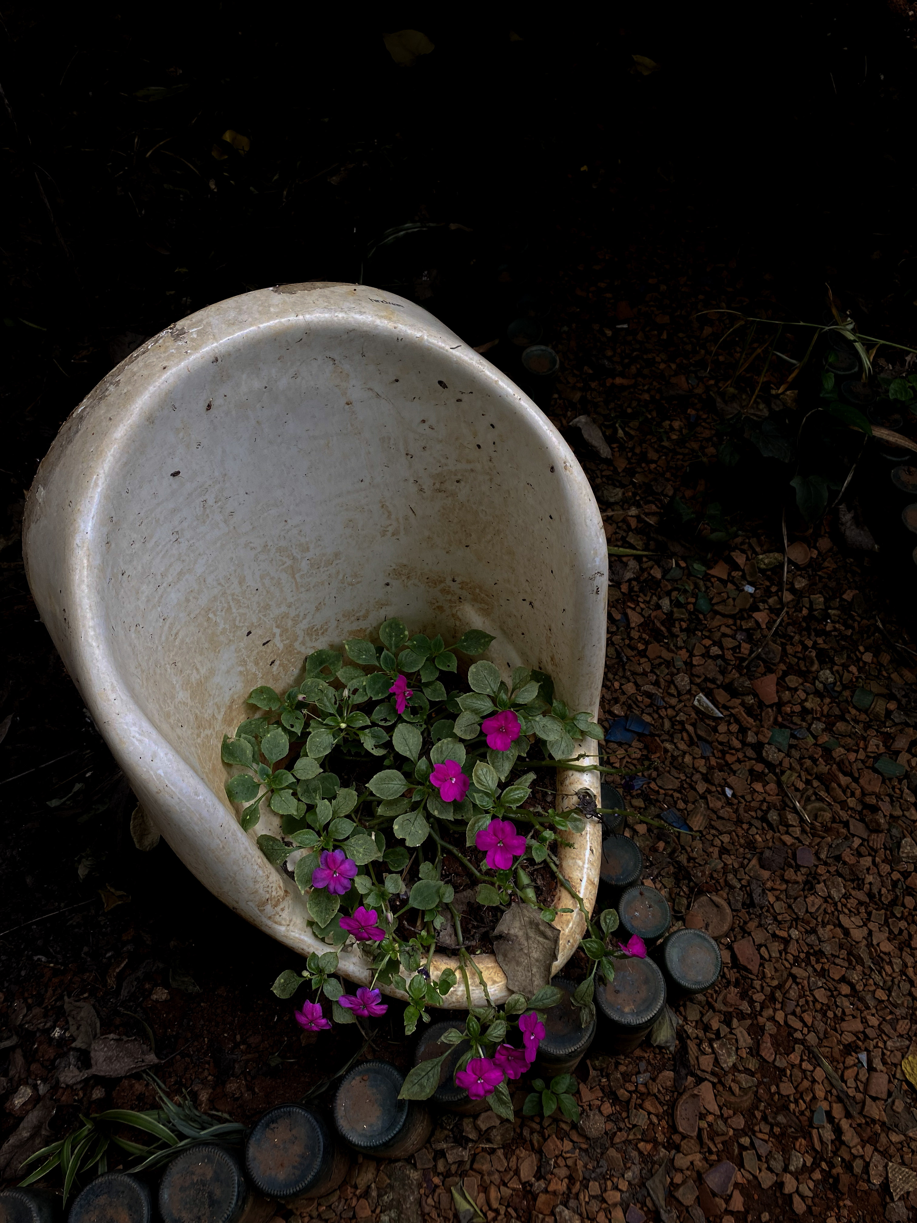 After - Bucket of Flowers (edited)